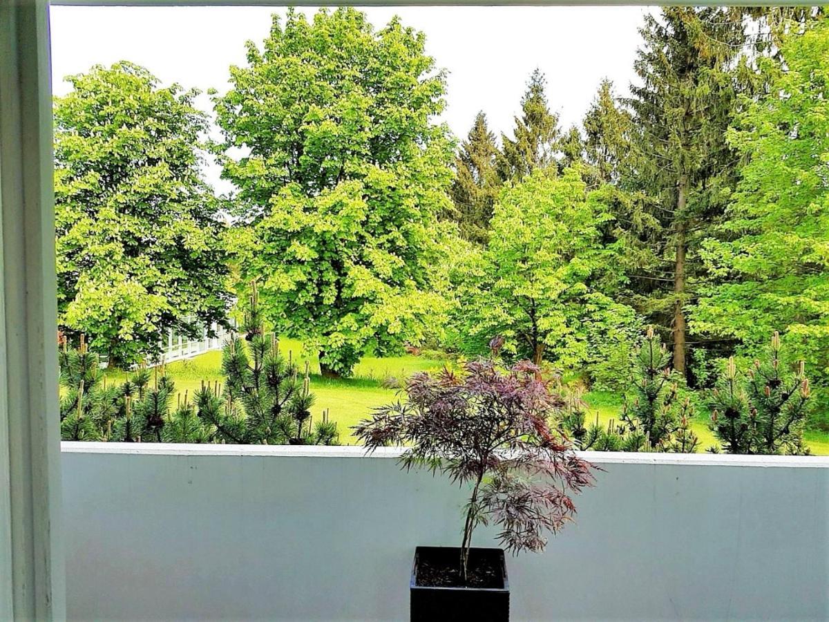 Grossdorf Ferienwohnung Waldsuite Im Harz جوسلار المظهر الخارجي الصورة