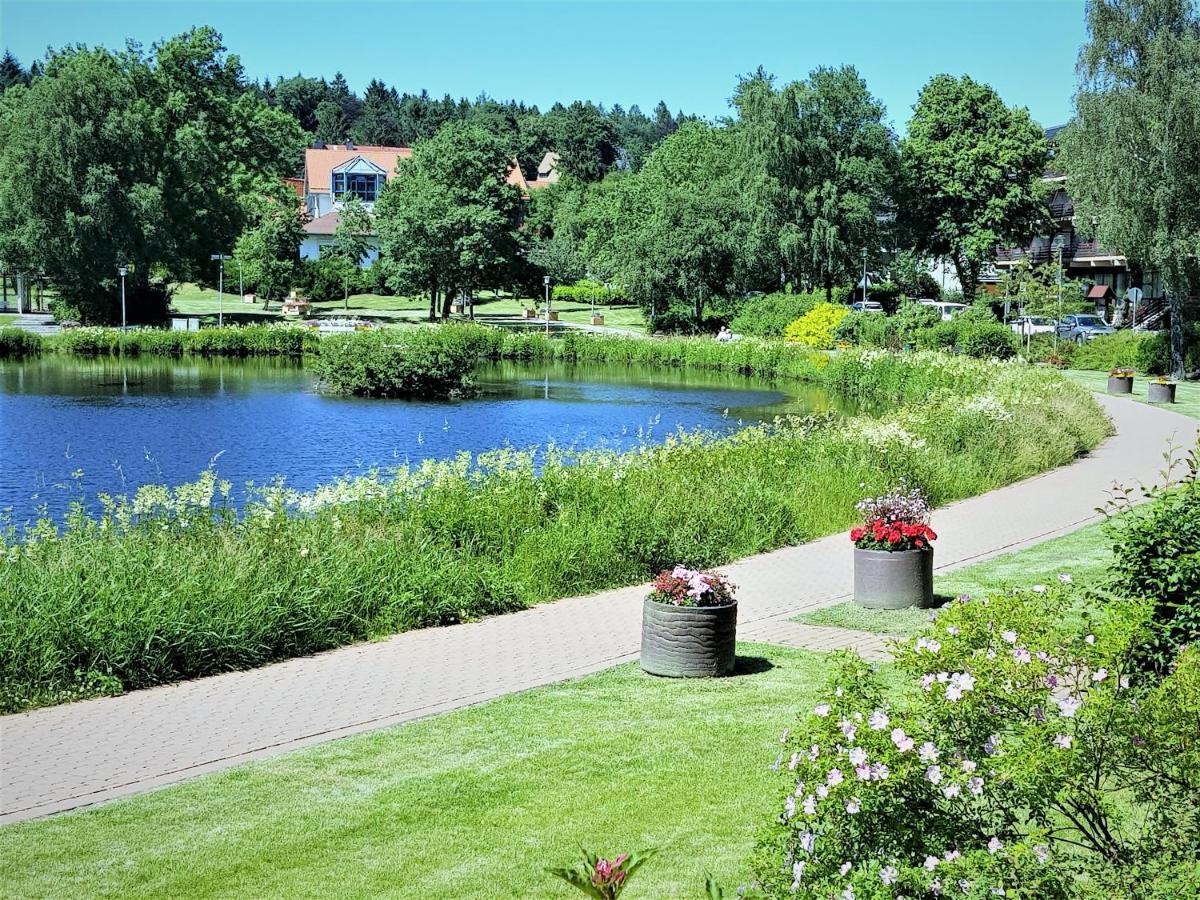Grossdorf Ferienwohnung Waldsuite Im Harz جوسلار المظهر الخارجي الصورة