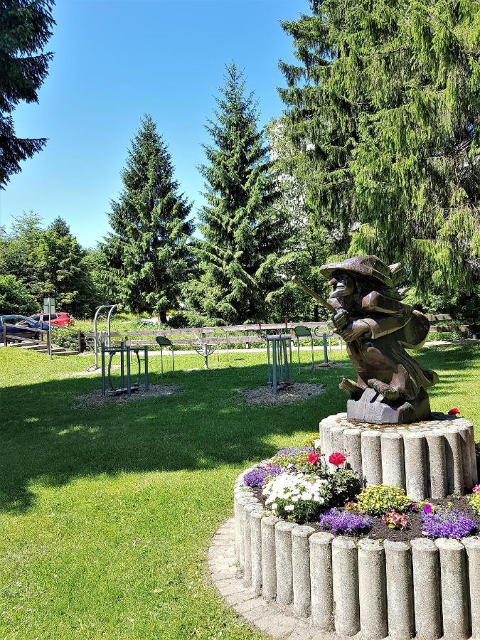 Grossdorf Ferienwohnung Waldsuite Im Harz جوسلار المظهر الخارجي الصورة