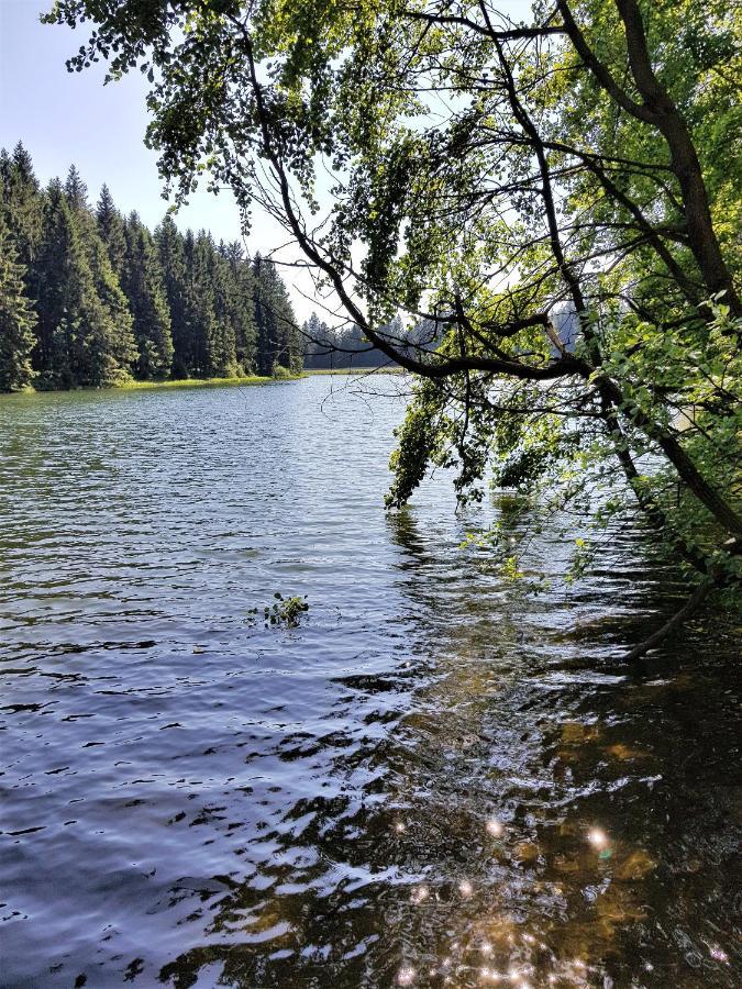 Grossdorf Ferienwohnung Waldsuite Im Harz جوسلار المظهر الخارجي الصورة