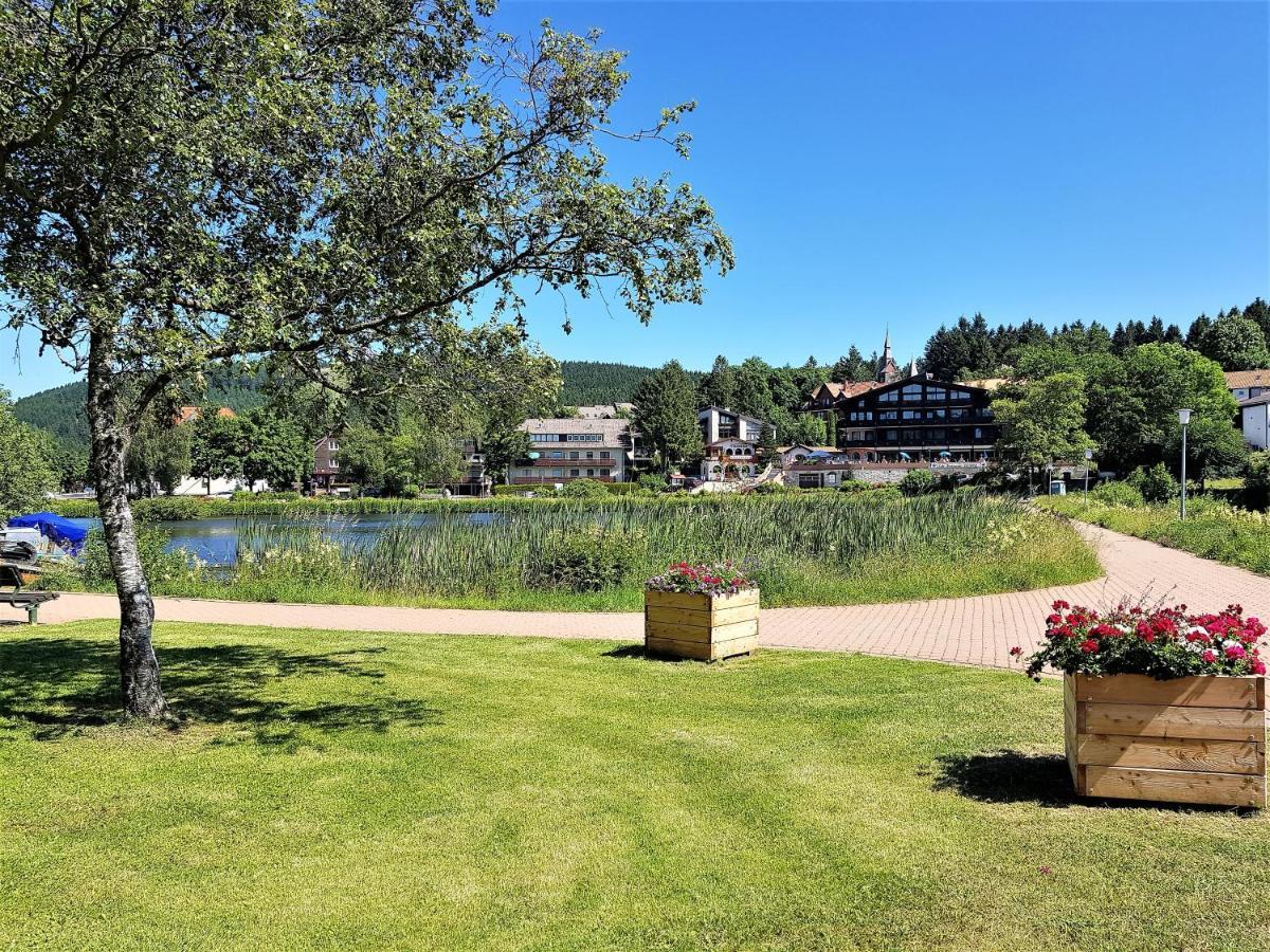 Grossdorf Ferienwohnung Waldsuite Im Harz جوسلار المظهر الخارجي الصورة