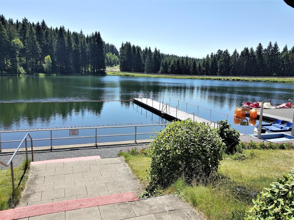 Grossdorf Ferienwohnung Waldsuite Im Harz جوسلار المظهر الخارجي الصورة