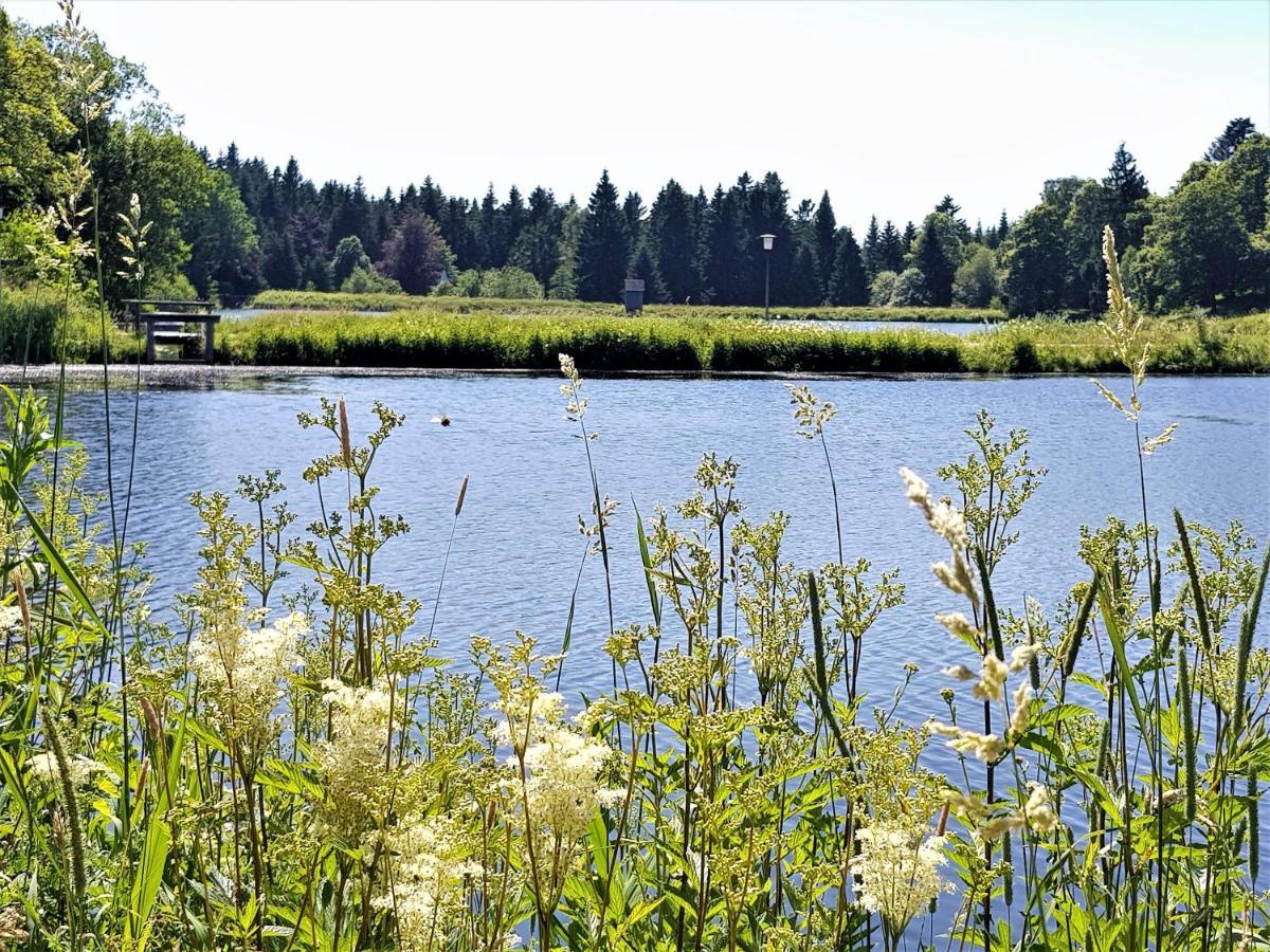 Grossdorf Ferienwohnung Waldsuite Im Harz جوسلار المظهر الخارجي الصورة